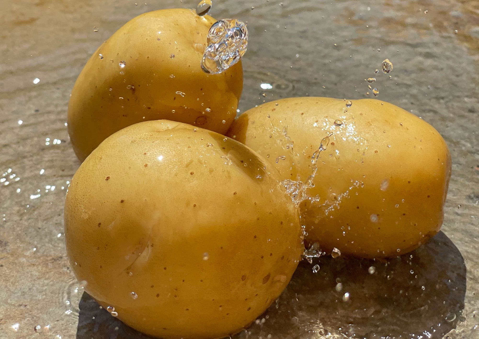 risorse idriche patate