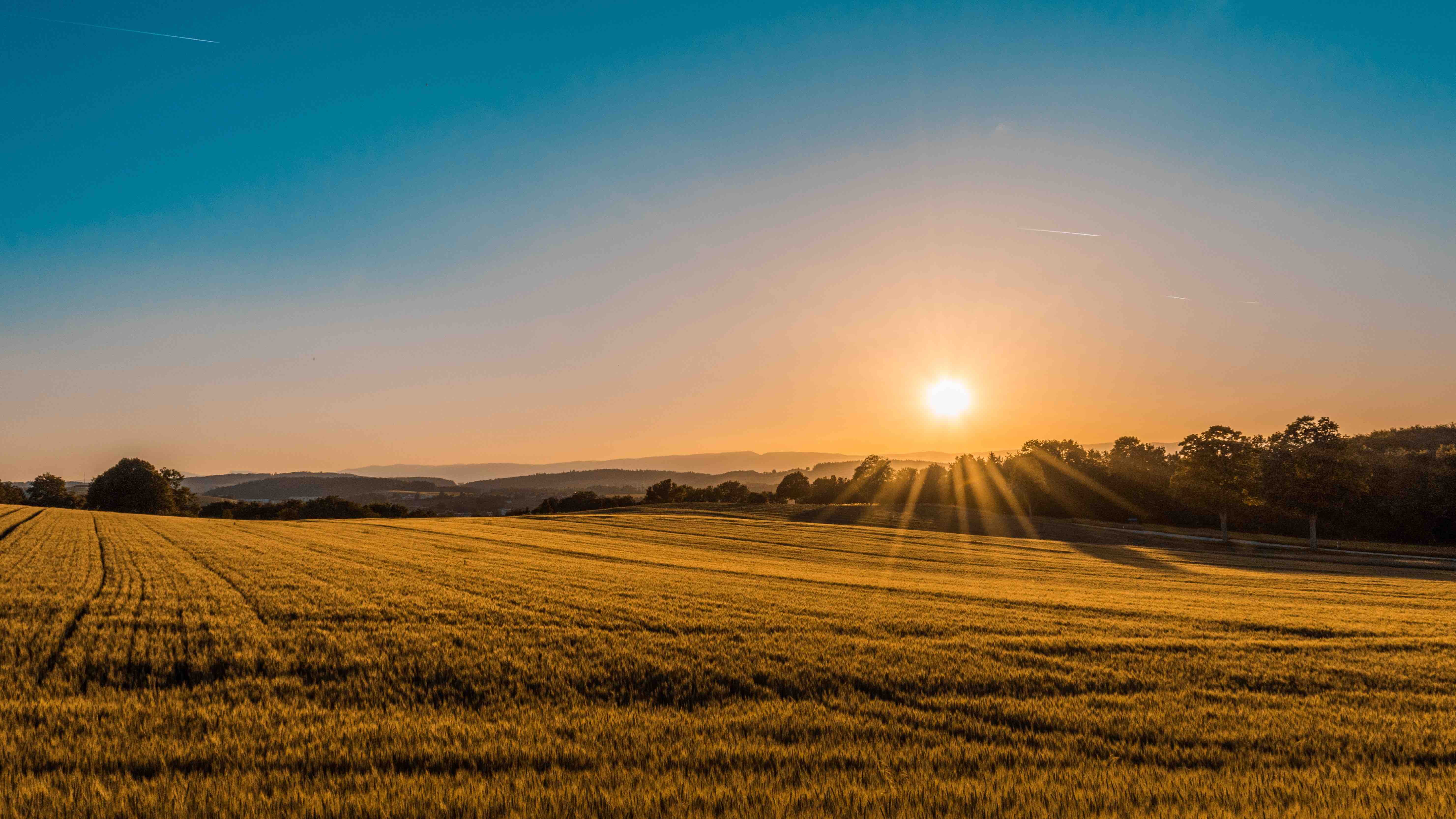 Saving the Planet and our own well-being: an unbreakable bond