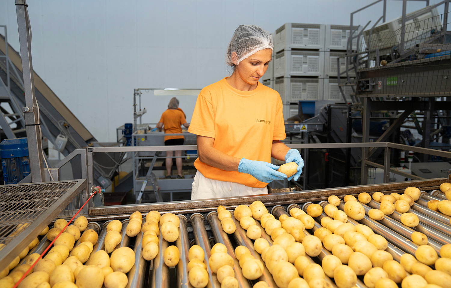 Romagnoli patate sostenibilità