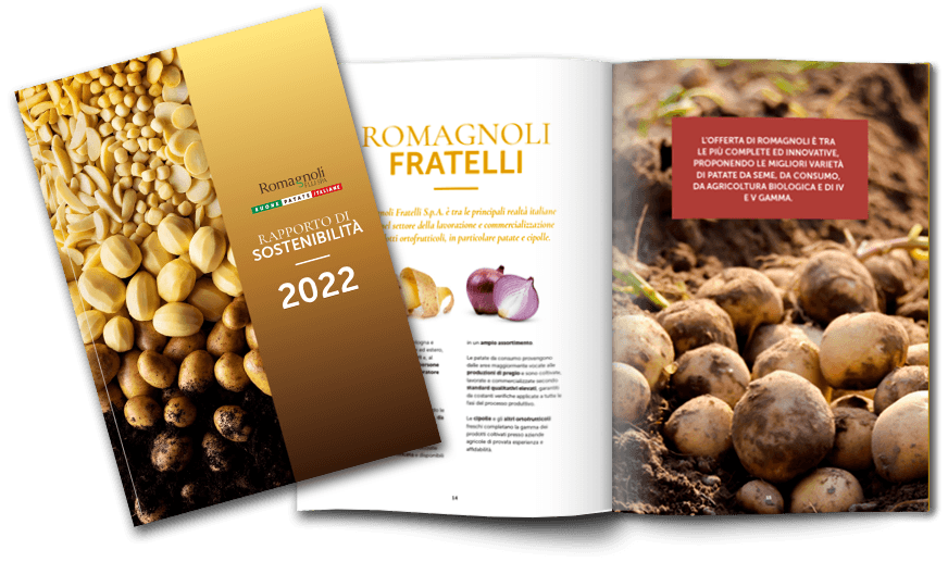 rapporto di sostenibilita 2022