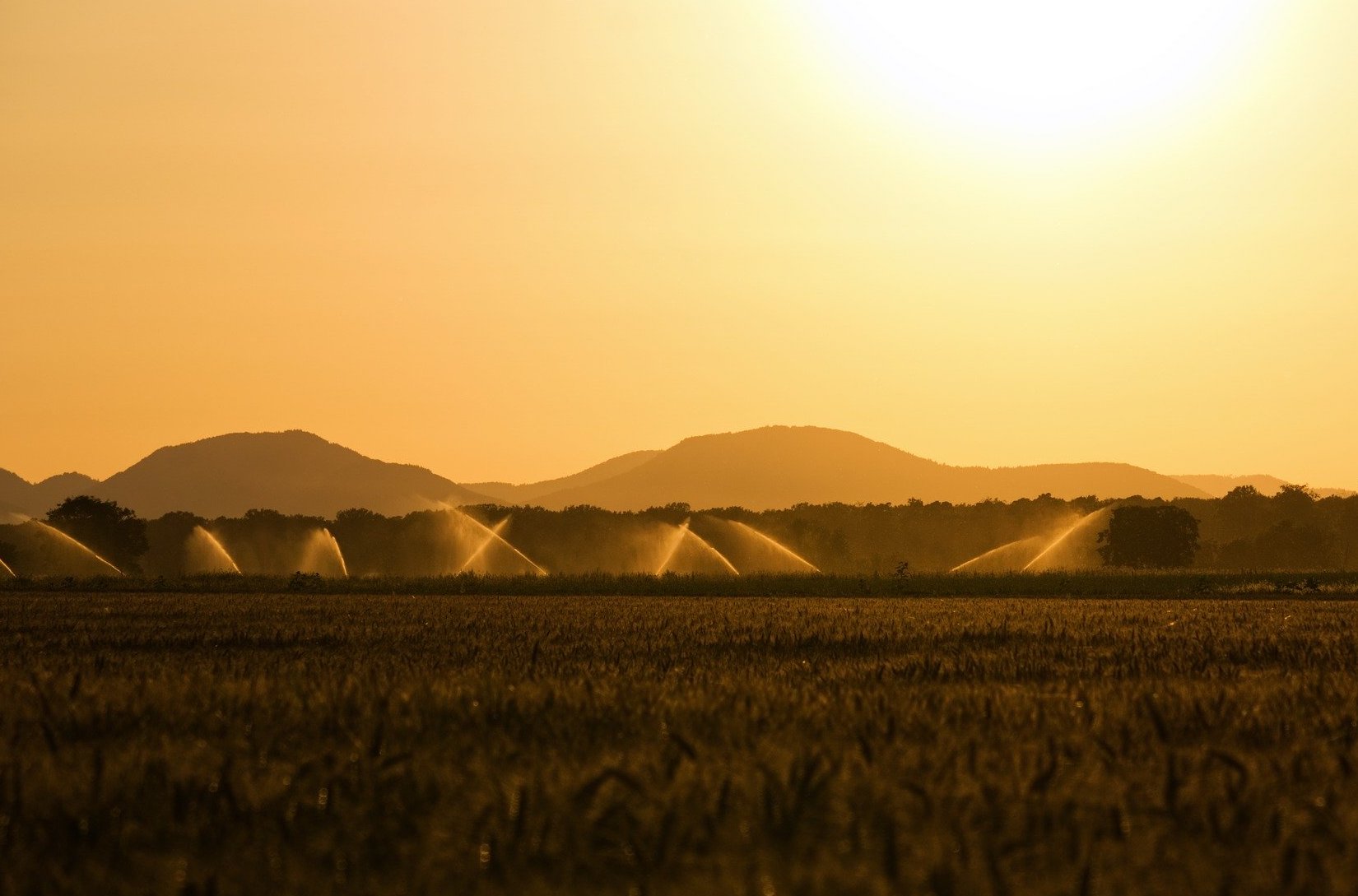 Technology and agriculture united for the environment