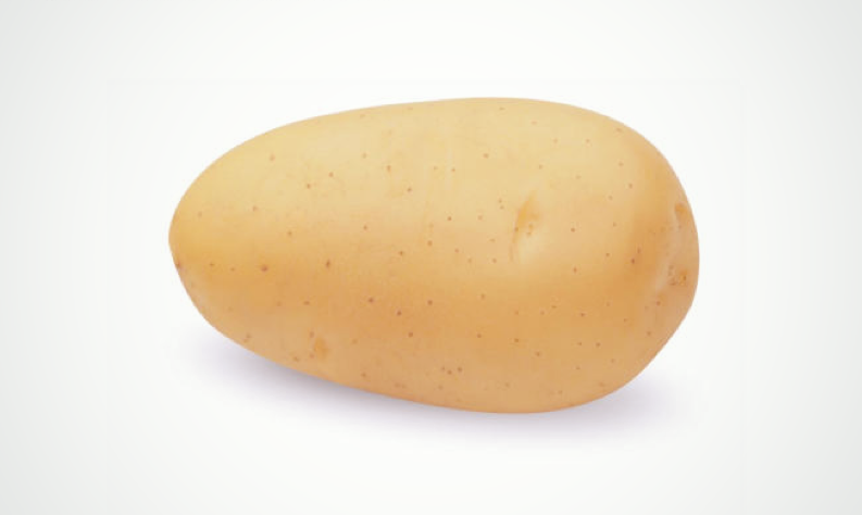 Vivaldi: the multipurpose potato variety